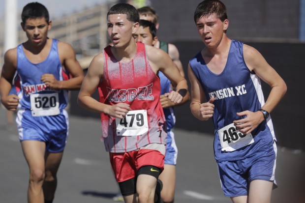 2012 Cross Country Sectional Meet